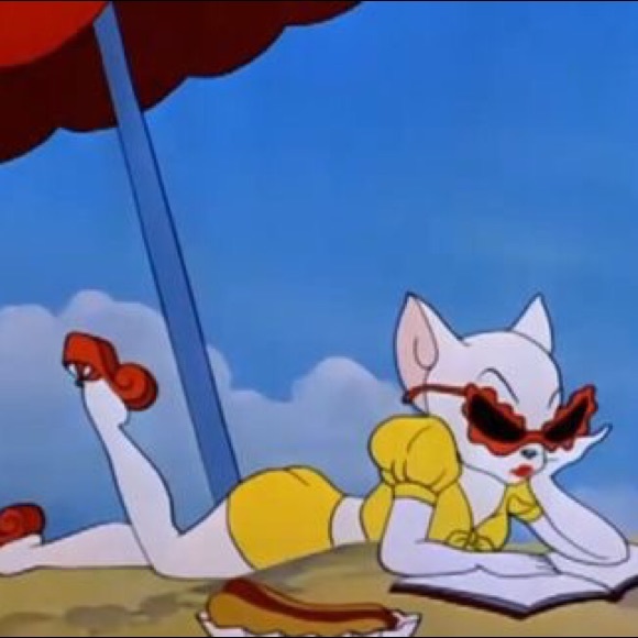 Meet your Posher, Cheekie - Picture 1 of 1